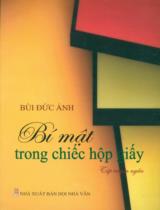 Bí mật trong chiếc hộp giấy : Tập truyện ngắn / Bùi Đức Anh