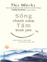 Sống chánh niệm tâm bình yên : Hạnh phúc do thấu hiểu, tĩnh lặng từ bình tâm / Paddy Brosnan ; Như Vy dịch