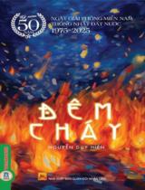 Đêm cháy : Tiểu thuyết / Nguyễn Duy Hiến