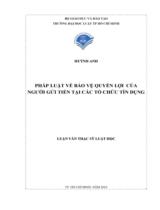 Pháp luật về bảo vệ quyền lợi của người gửi tiền tại các tổ chức tín dụng : Luận văn Thạc sĩ Luật học / Huỳnh Anh