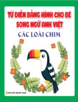 Từ điển bằng hình cho bé song ngữ Anh - Việt: Các loài chim / Vân Anh