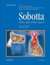 Sobotta - Atlas giải phẫu người : 